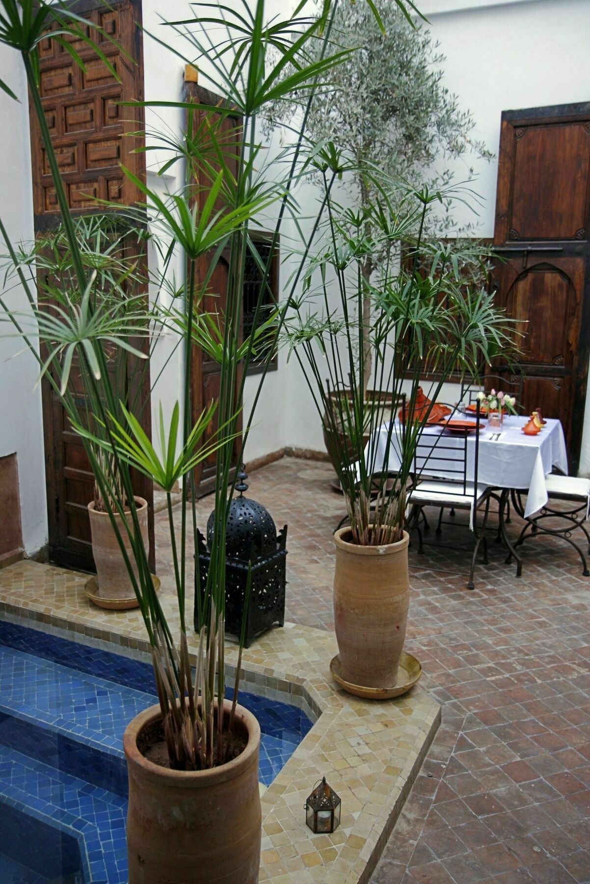 Riad Elixir Marraquexe Exterior foto